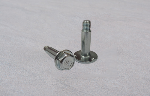 Pump foot bolt